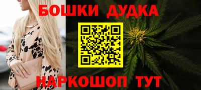 гидра Будённовск