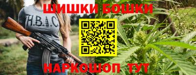 гидра Будённовск