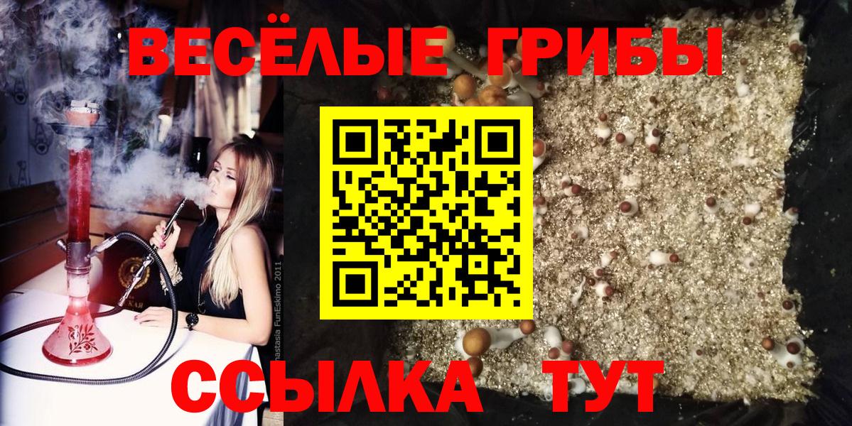Псилоцибиновые грибы GOLDEN TEACHER Сочи