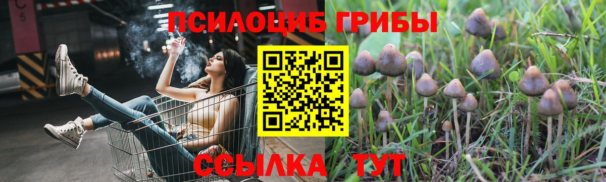 Сочи  Псилоцибиновые грибы Psilocybine cubensis  Вход с VPN 